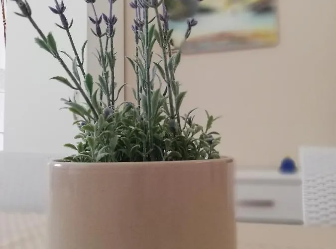 Апартаменты Casa Uccio *