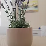 Apartament Casa Uccio *