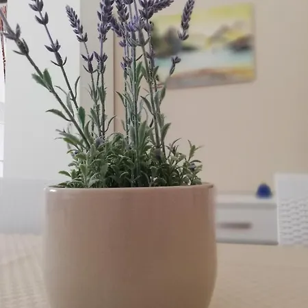 Appartement Casa Uccio *